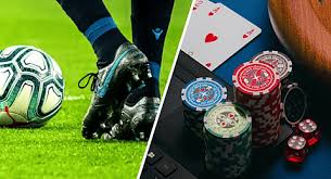 Discover the Exciting World of 96c bet 8
